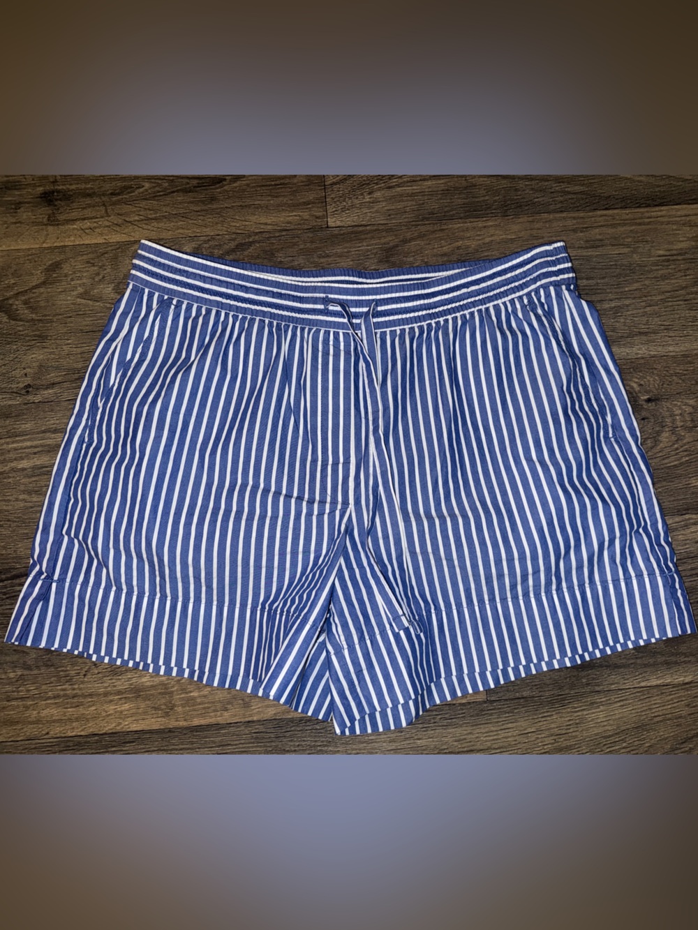 Banana Republic Factory Blue and White Striped seersucker preppy coastal Shorts